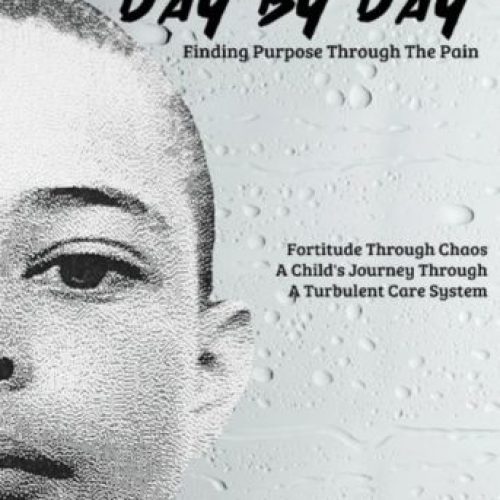 Drip by Dip day by day book